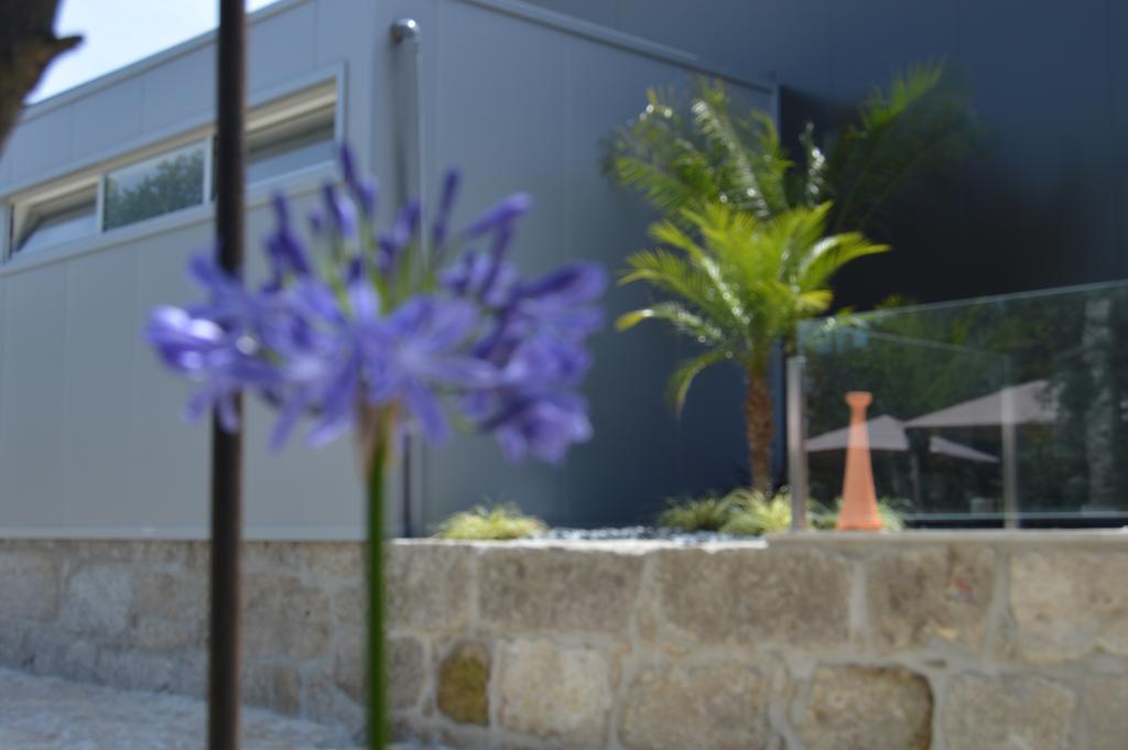 Quinta Das Tulipas Βίλα Barcelos Εξωτερικό φωτογραφία