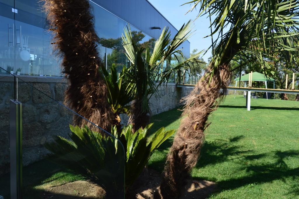 Quinta Das Tulipas Βίλα Barcelos Εξωτερικό φωτογραφία